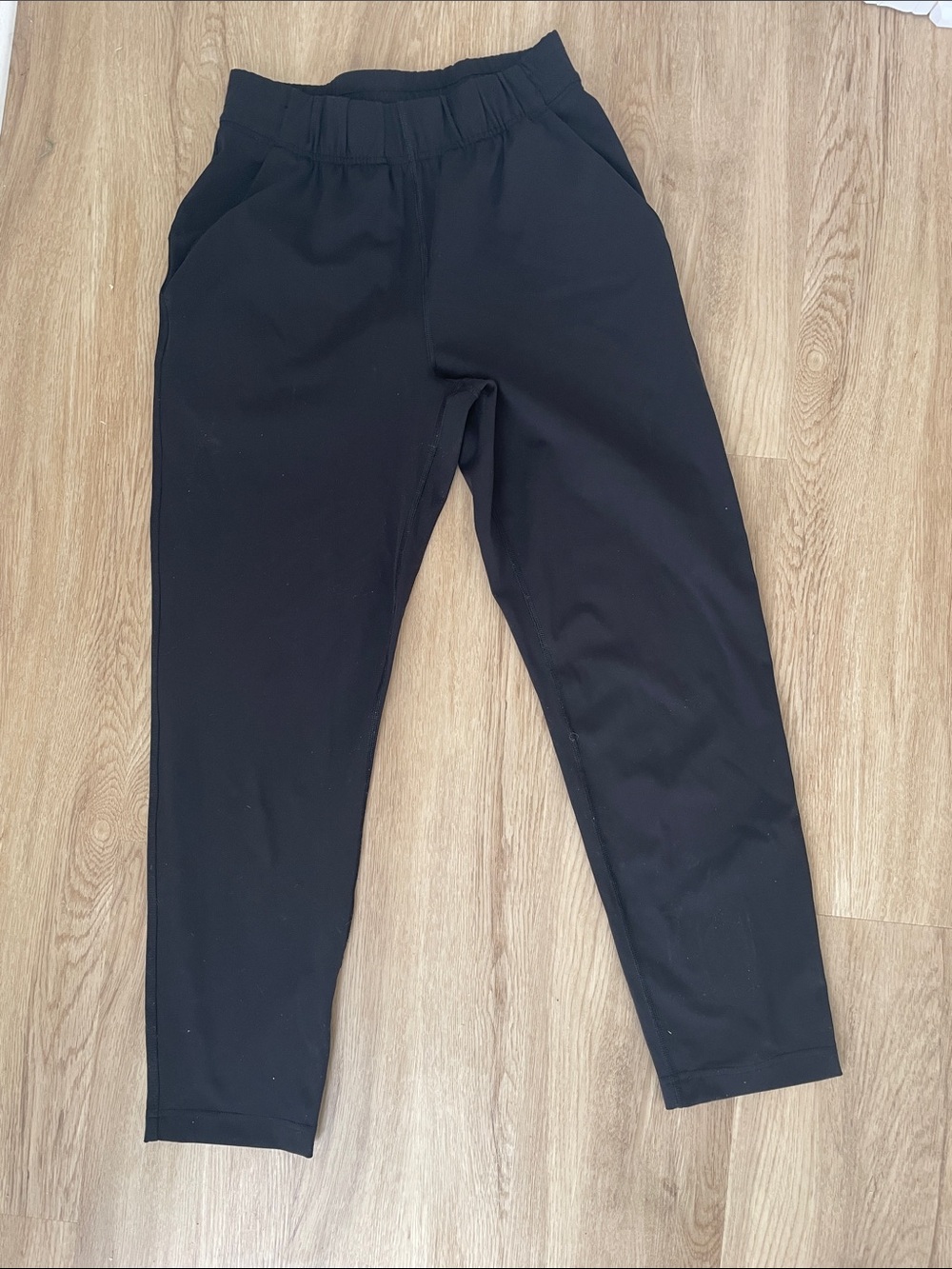 Aritzia The Group Babaton Weekender Pants